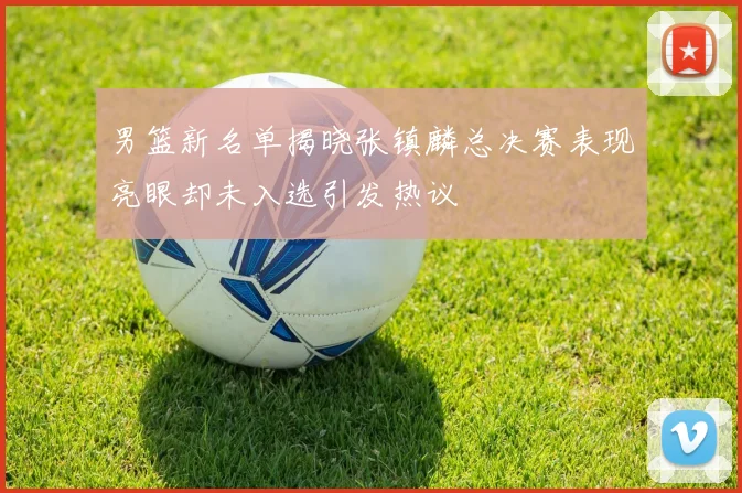 男篮新名单揭晓张镇麟总决赛表现亮眼却未入选引发热议
