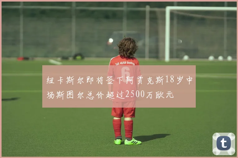 纽卡斯尔即将签下阿贾克斯18岁中场斯图尔总价超过2500万欧元